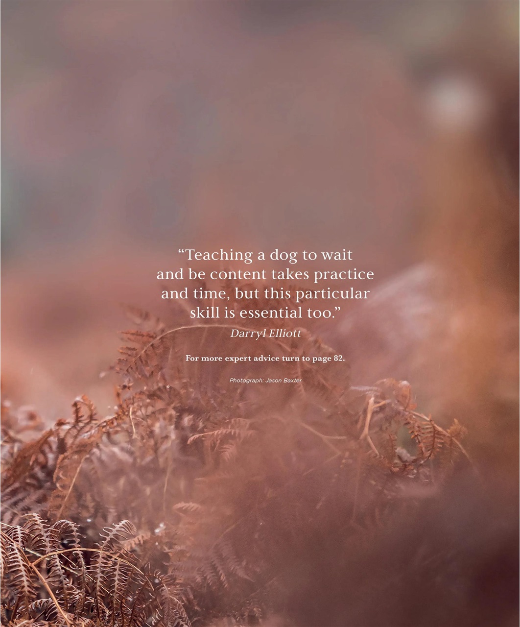 Gundog Journal Preview Pages