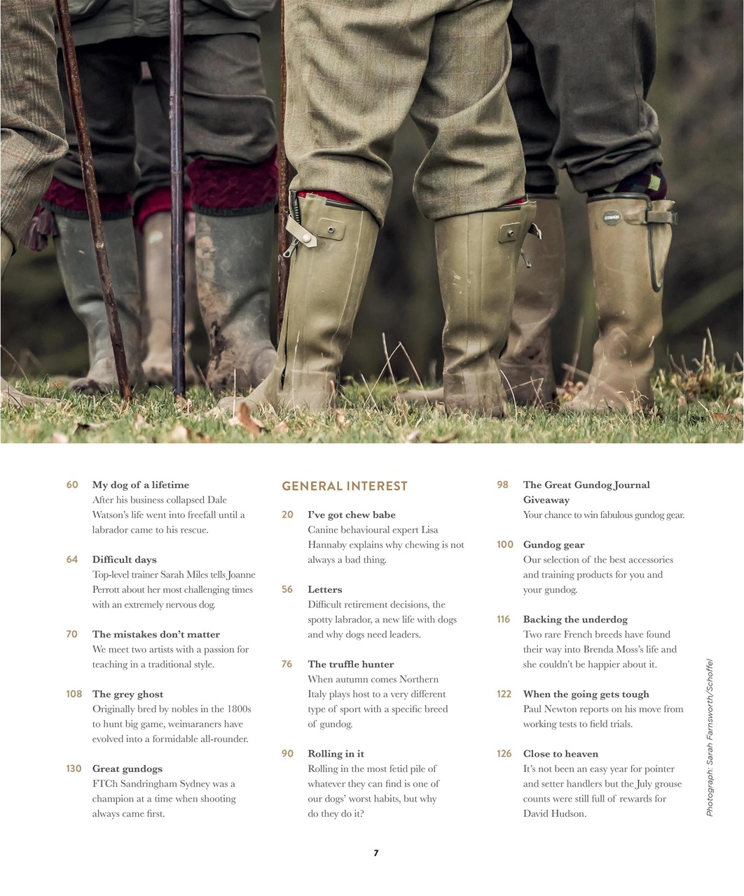 Gundog Journal Preview Pages