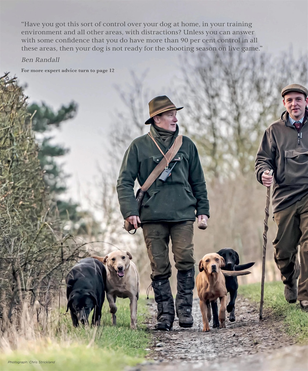 Gundog Journal Preview Pages