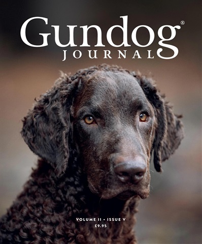 Gundog Journal issue Volume II Issue V