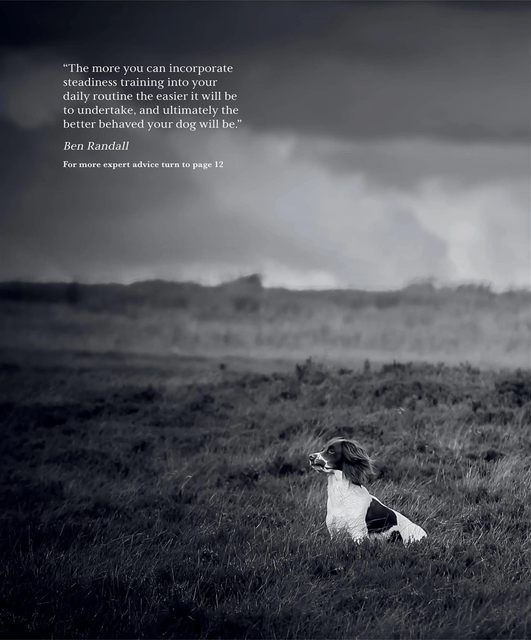 Gundog Journal Preview Pages
