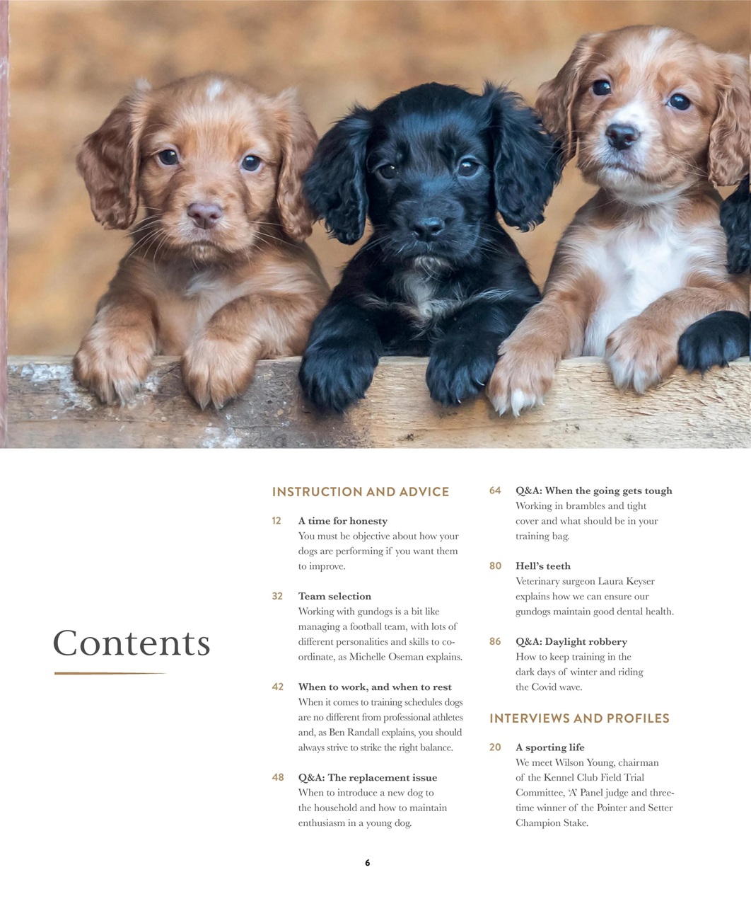 Gundog Journal Preview Pages