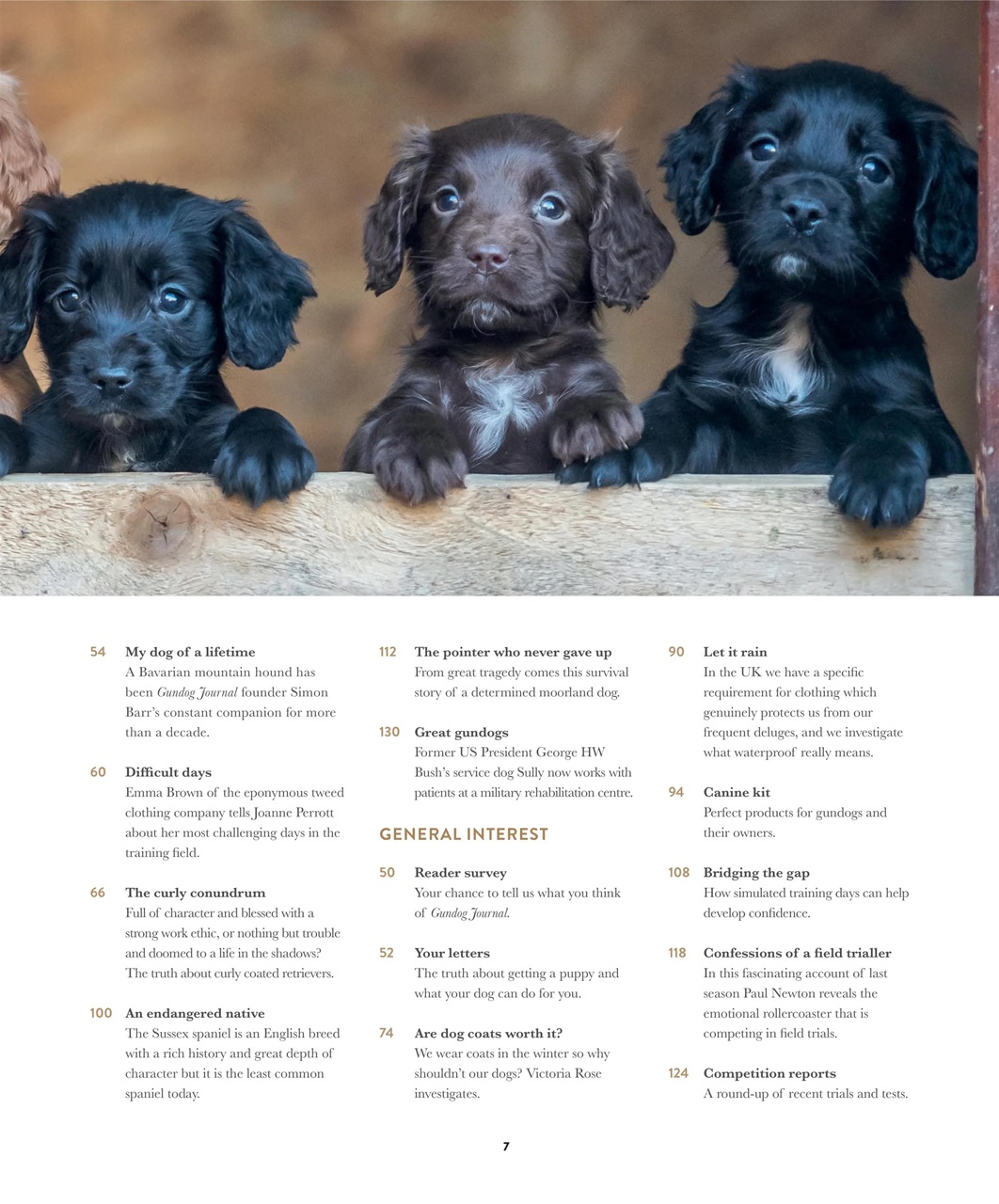 Gundog Journal Preview Pages