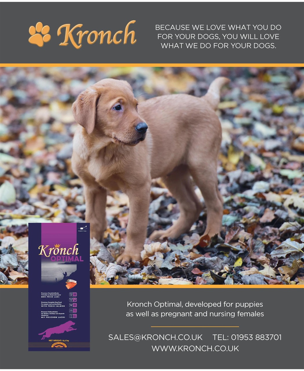 Gundog Journal Preview Pages