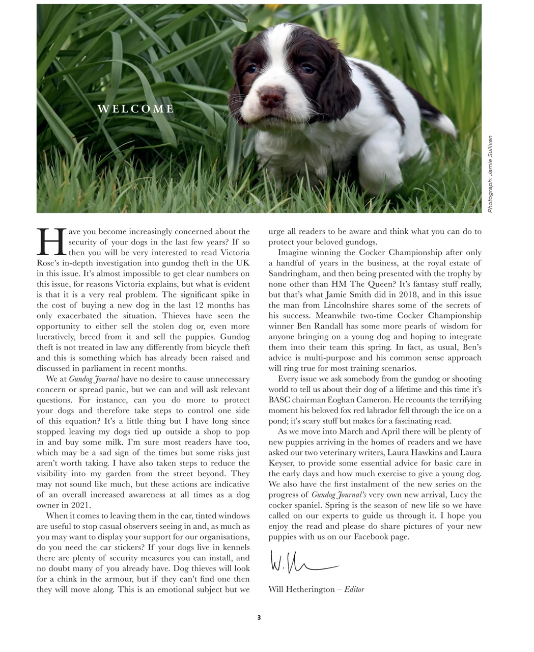 Gundog Journal Preview Pages
