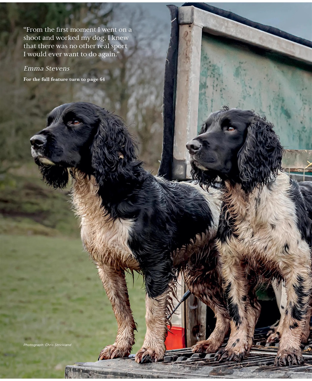 Gundog Journal Preview Pages