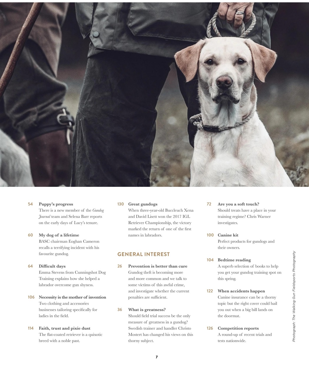 Gundog Journal Preview Pages
