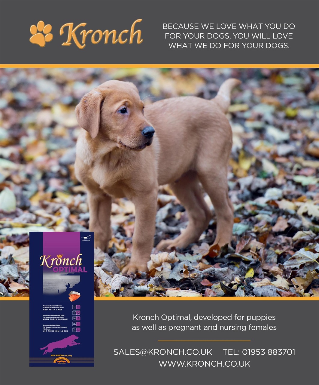 Gundog Journal Preview Pages