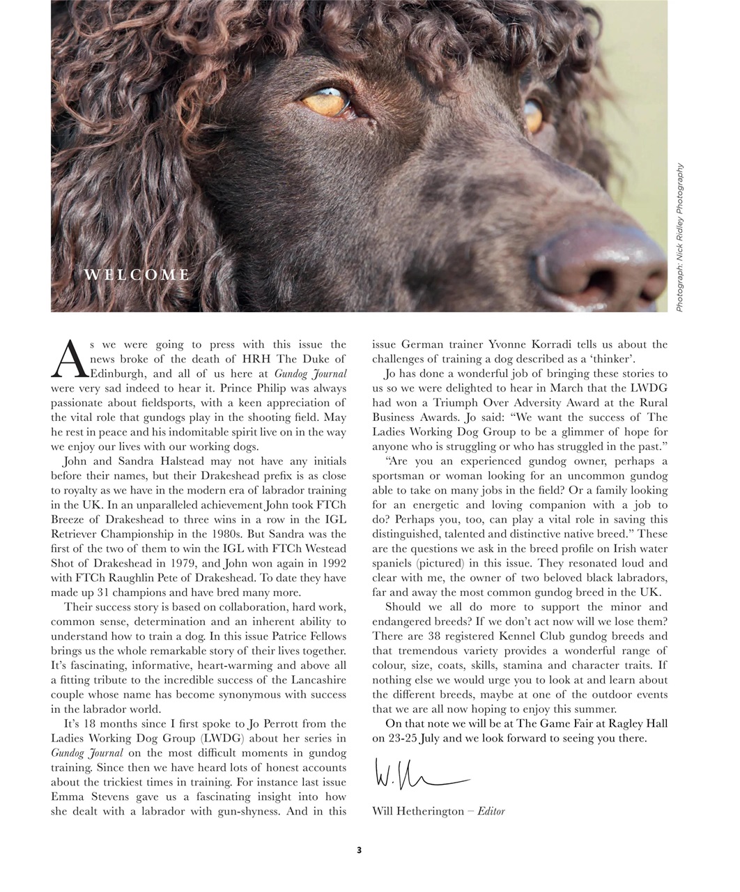 Gundog Journal Preview Pages