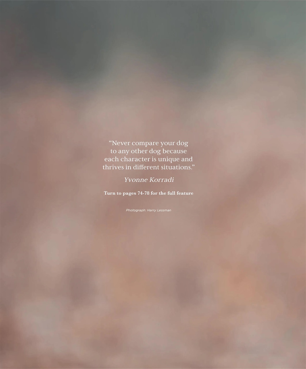 Gundog Journal Preview Pages