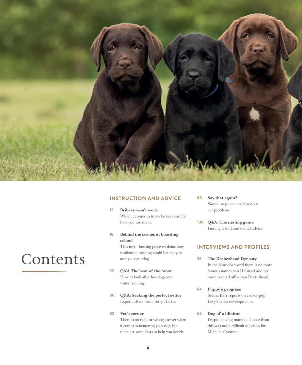 Gundog Journal Preview Pages