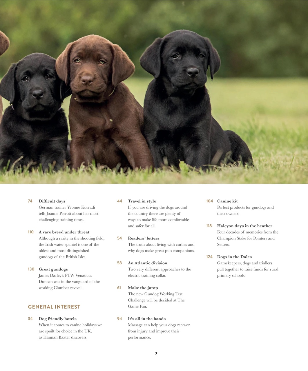 Gundog Journal Preview Pages