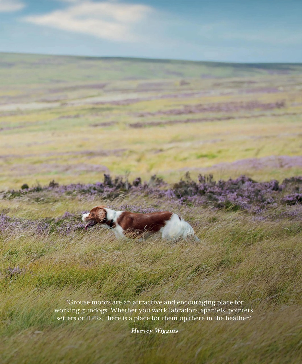 Gundog Journal Preview Pages