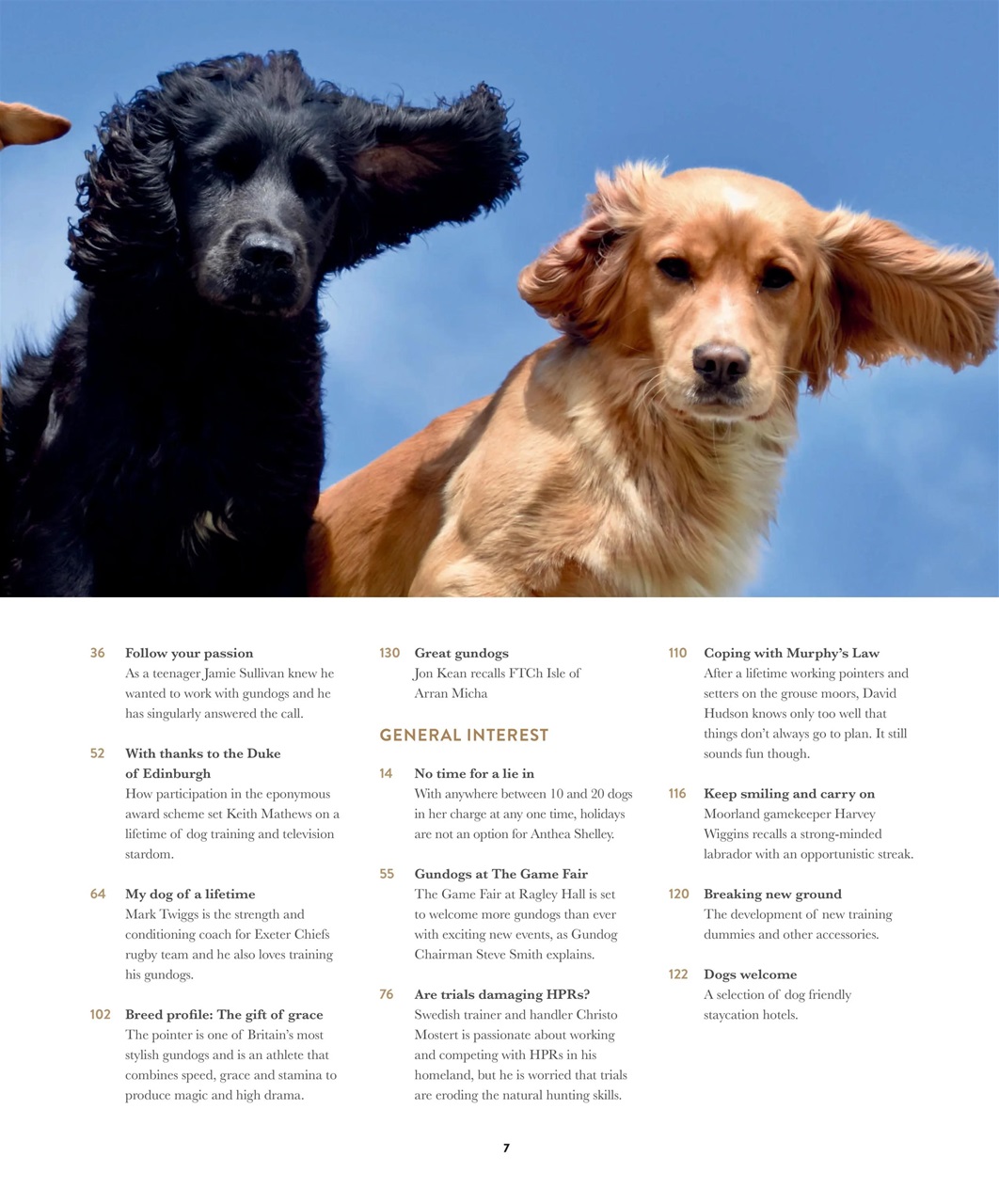 Gundog Journal Preview Pages
