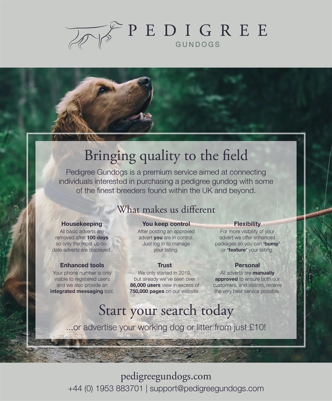 Gundog Journal Preview Pages