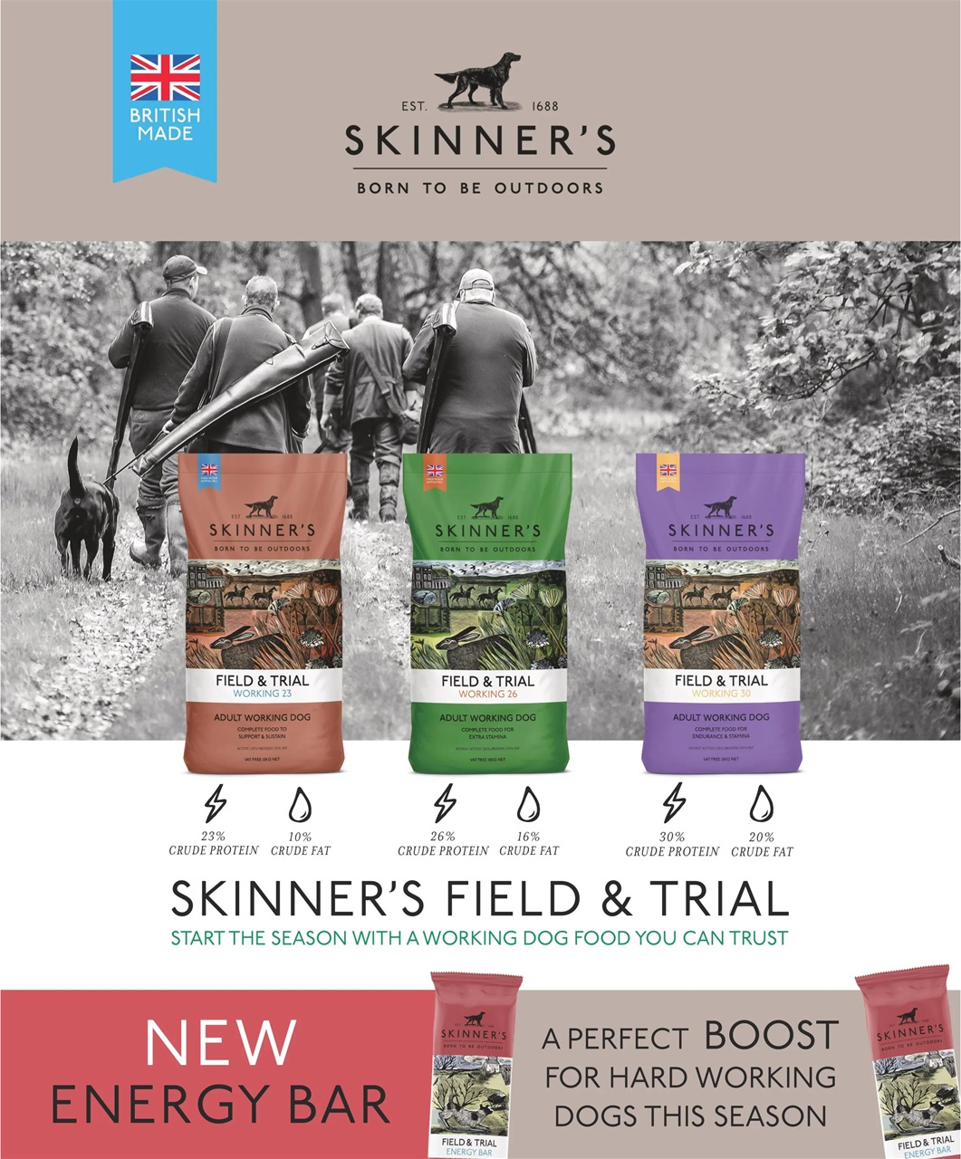Gundog Journal Preview Pages