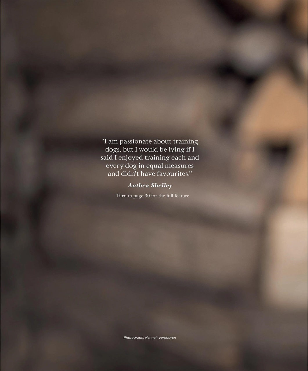 Gundog Journal Preview Pages