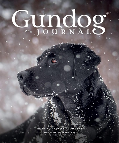Gundog Journal issue Volume III Issue IV
