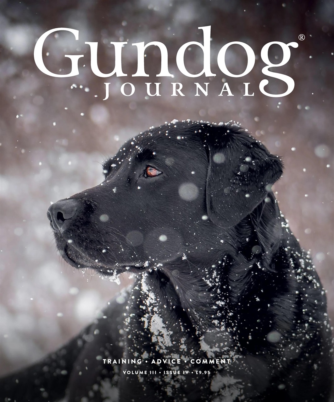 Gundog Journal Preview Pages