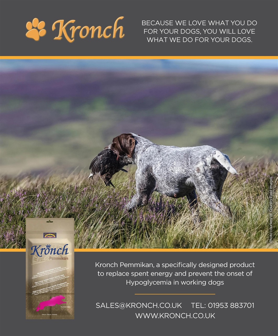 Gundog Journal Preview Pages