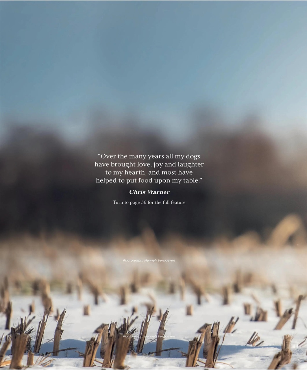 Gundog Journal Preview Pages