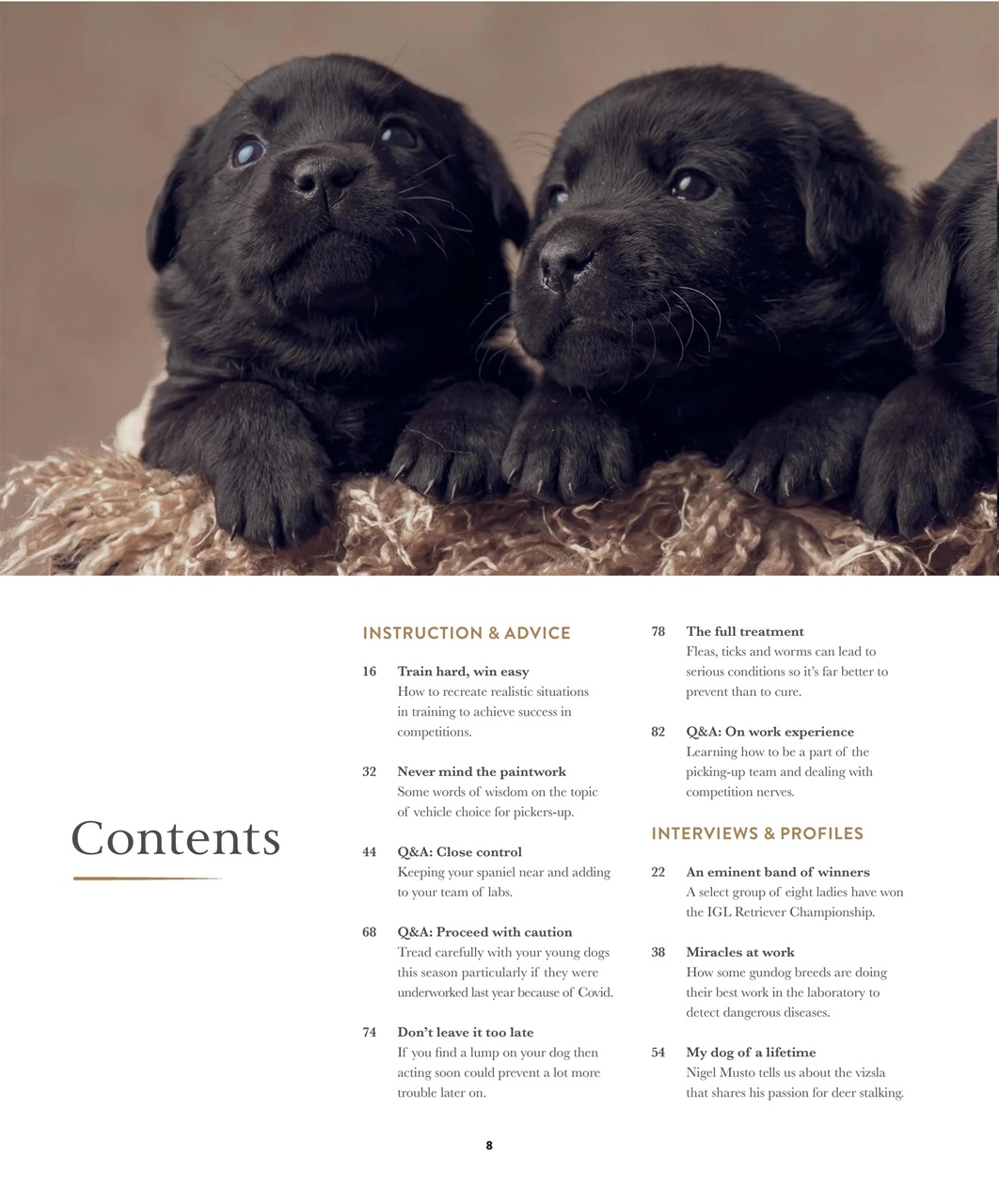 Gundog Journal Preview Pages