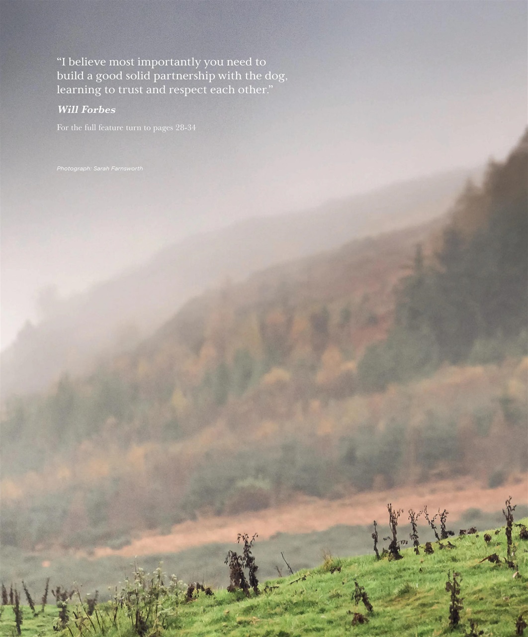 Gundog Journal Preview Pages