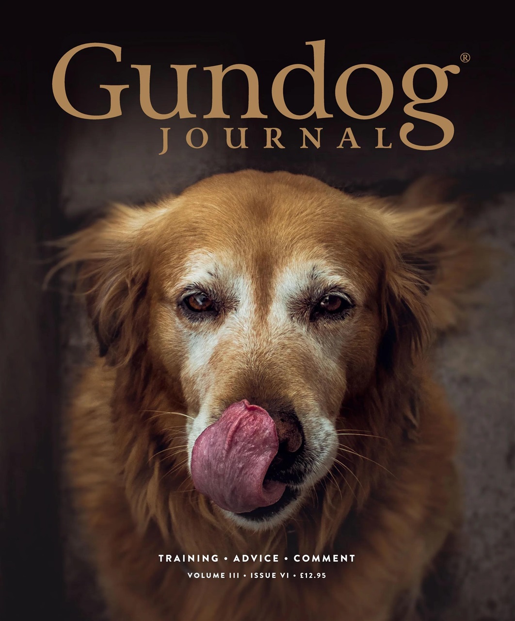 Gundog Journal Preview Pages
