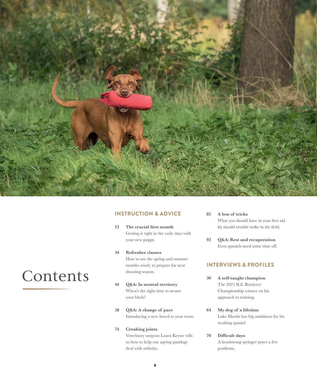Gundog Journal Preview Pages