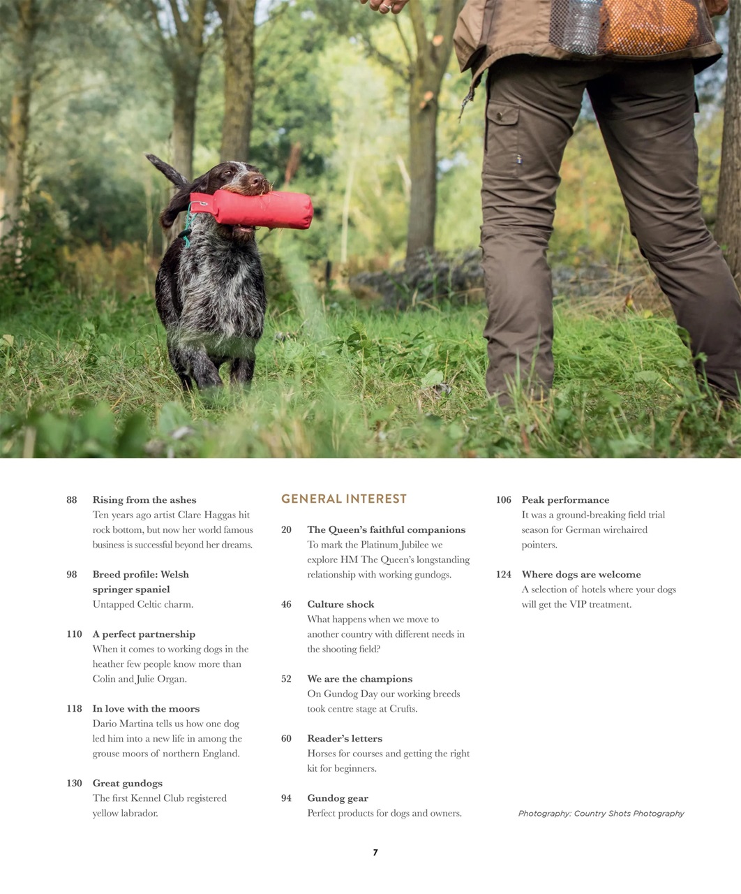 Gundog Journal Preview Pages