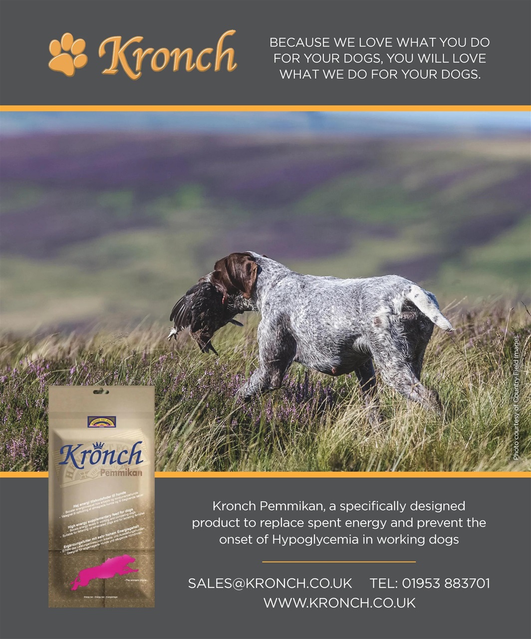Gundog Journal Preview Pages