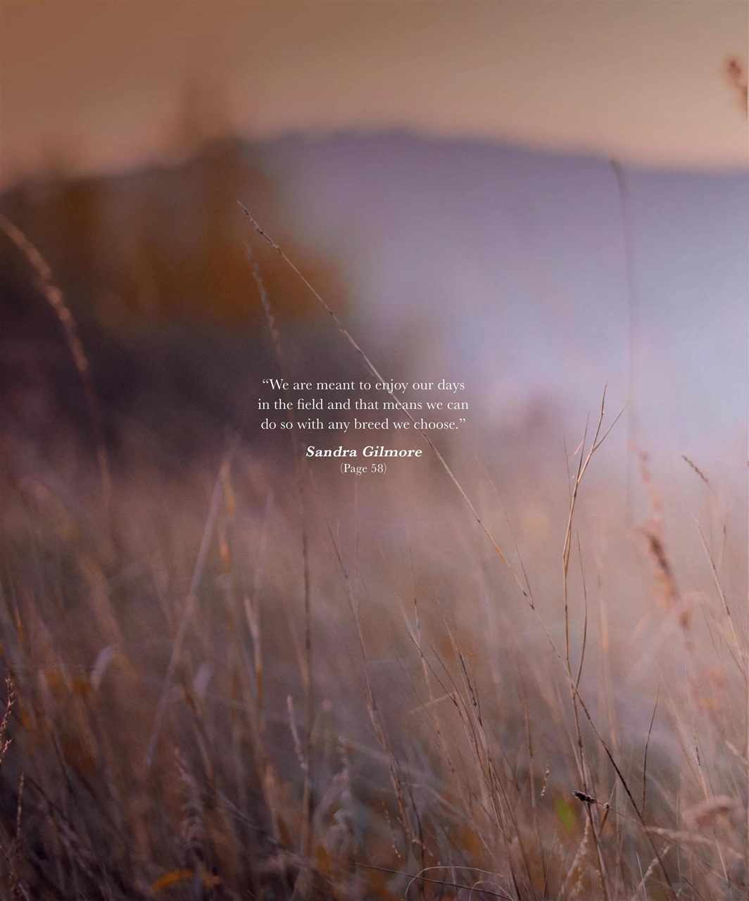 Gundog Journal Preview Pages