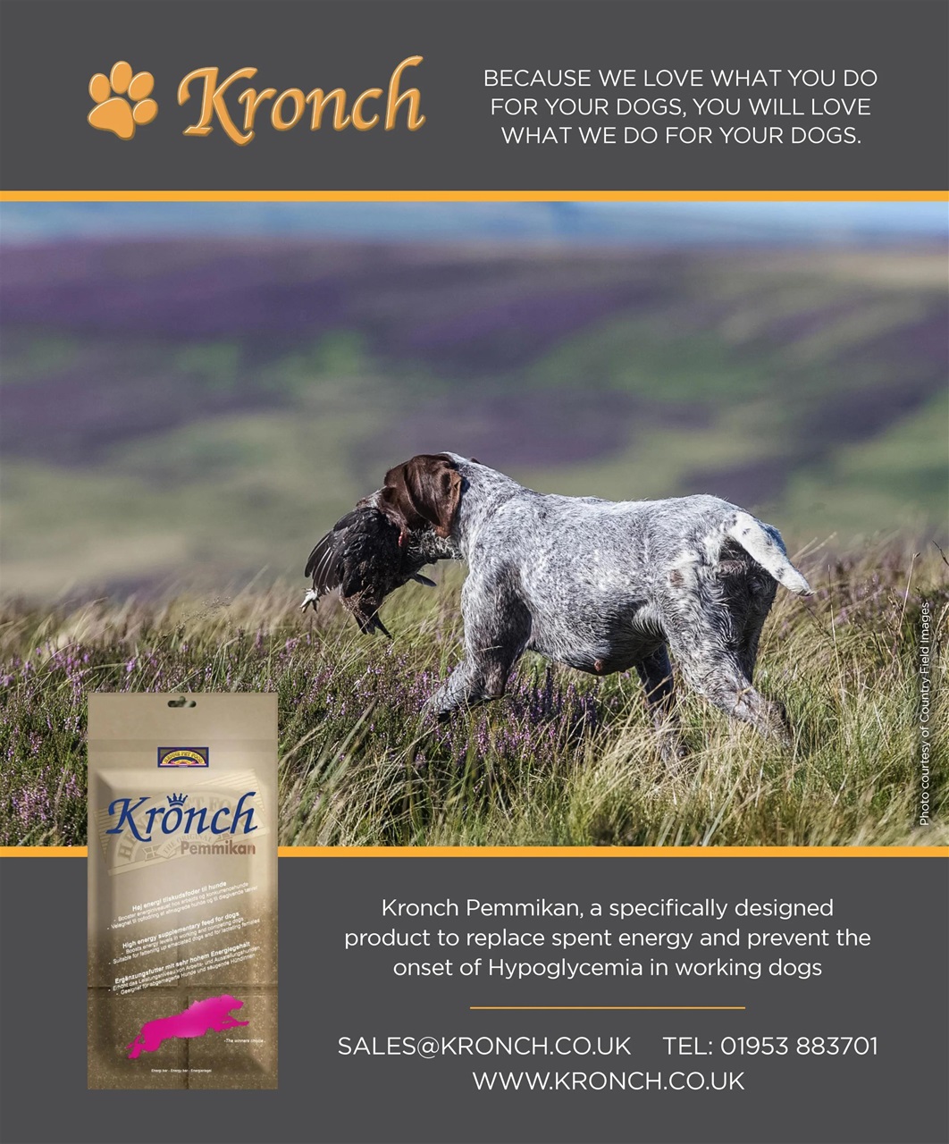 Gundog Journal Preview Pages