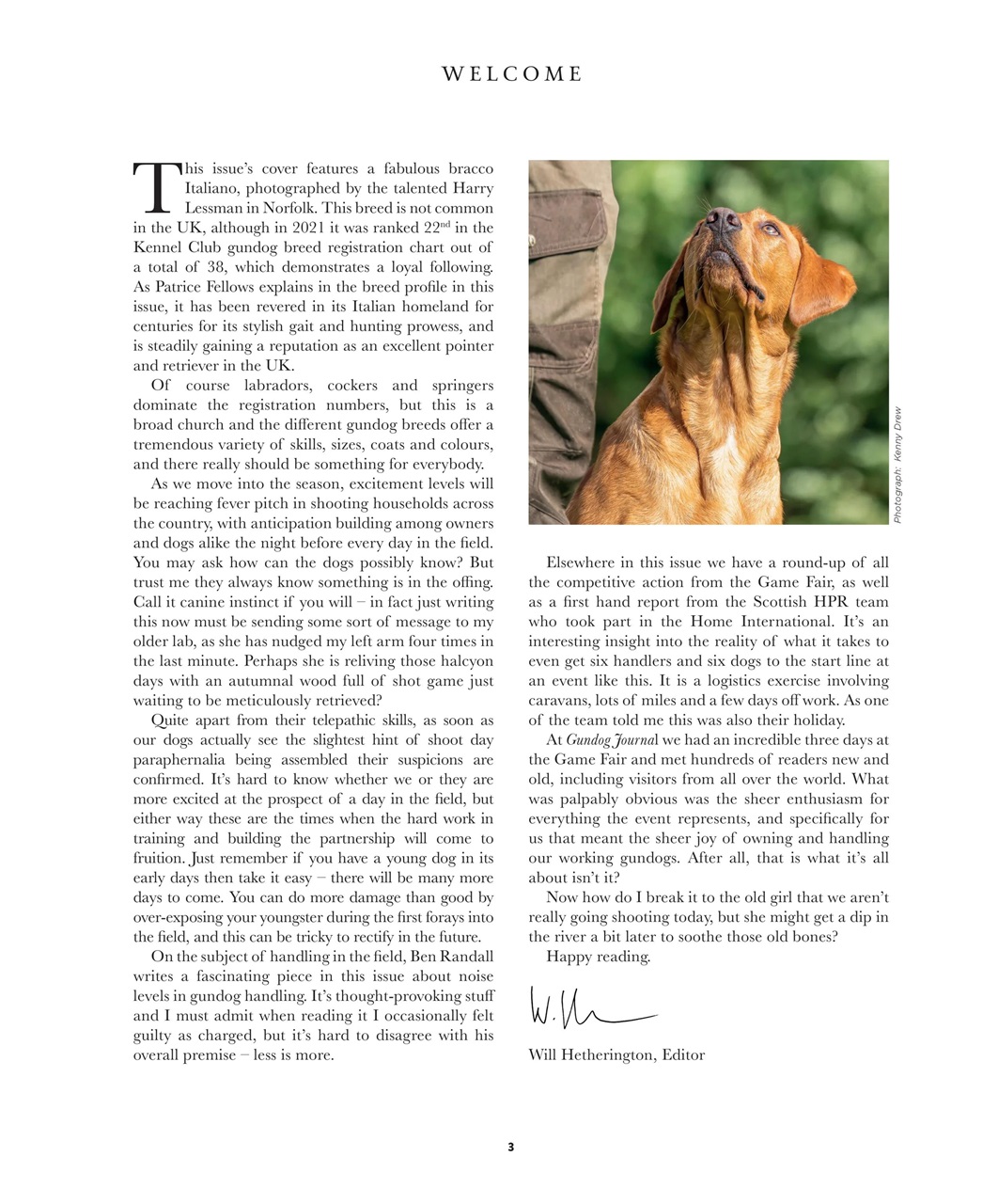 Gundog Journal Preview Pages