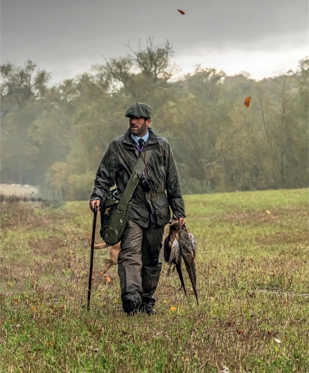 Gundog Journal Preview Pages