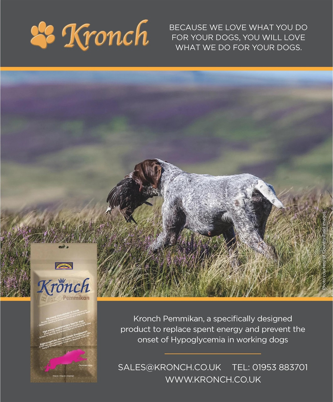 Gundog Journal Preview Pages