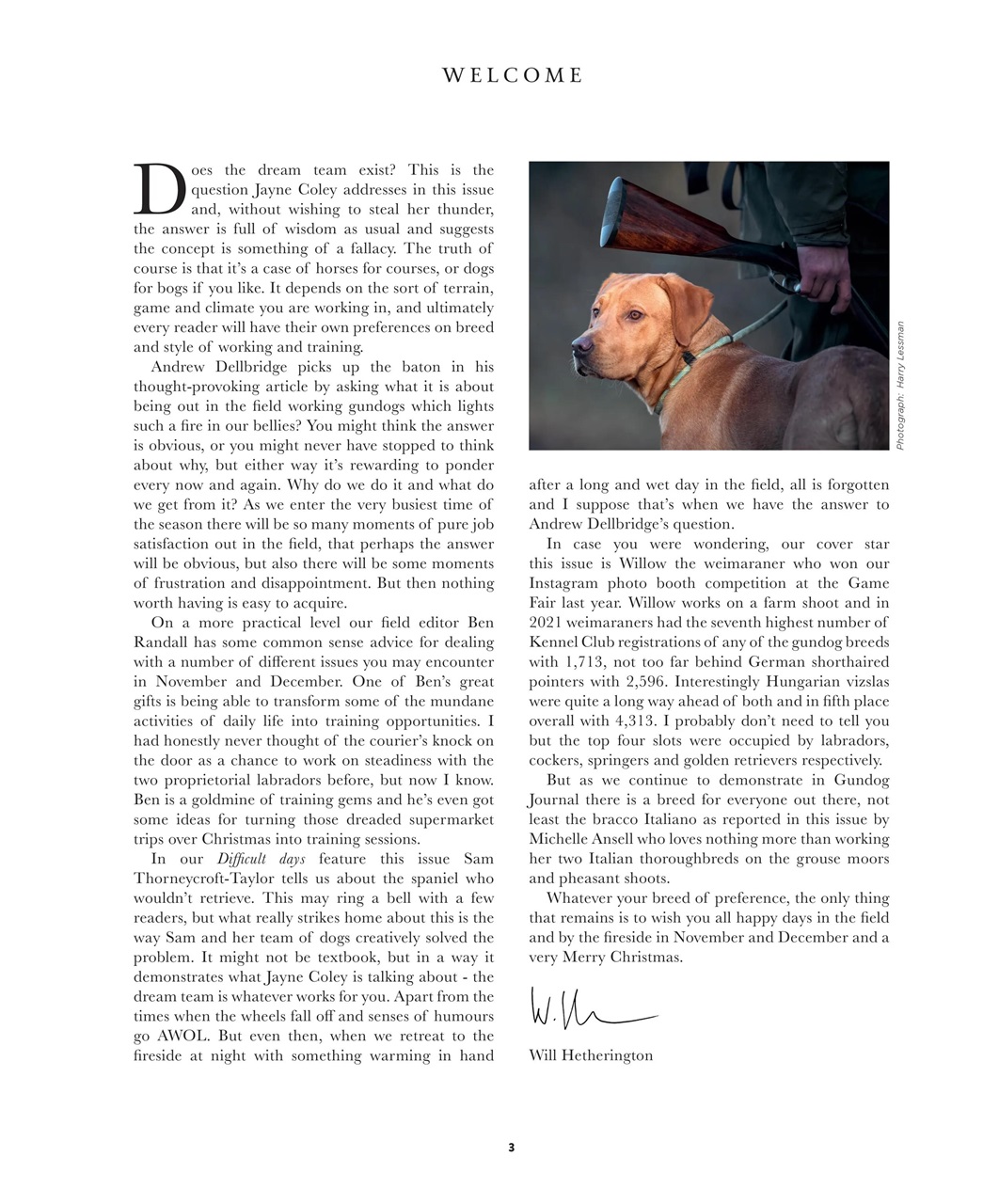 Gundog Journal Preview Pages
