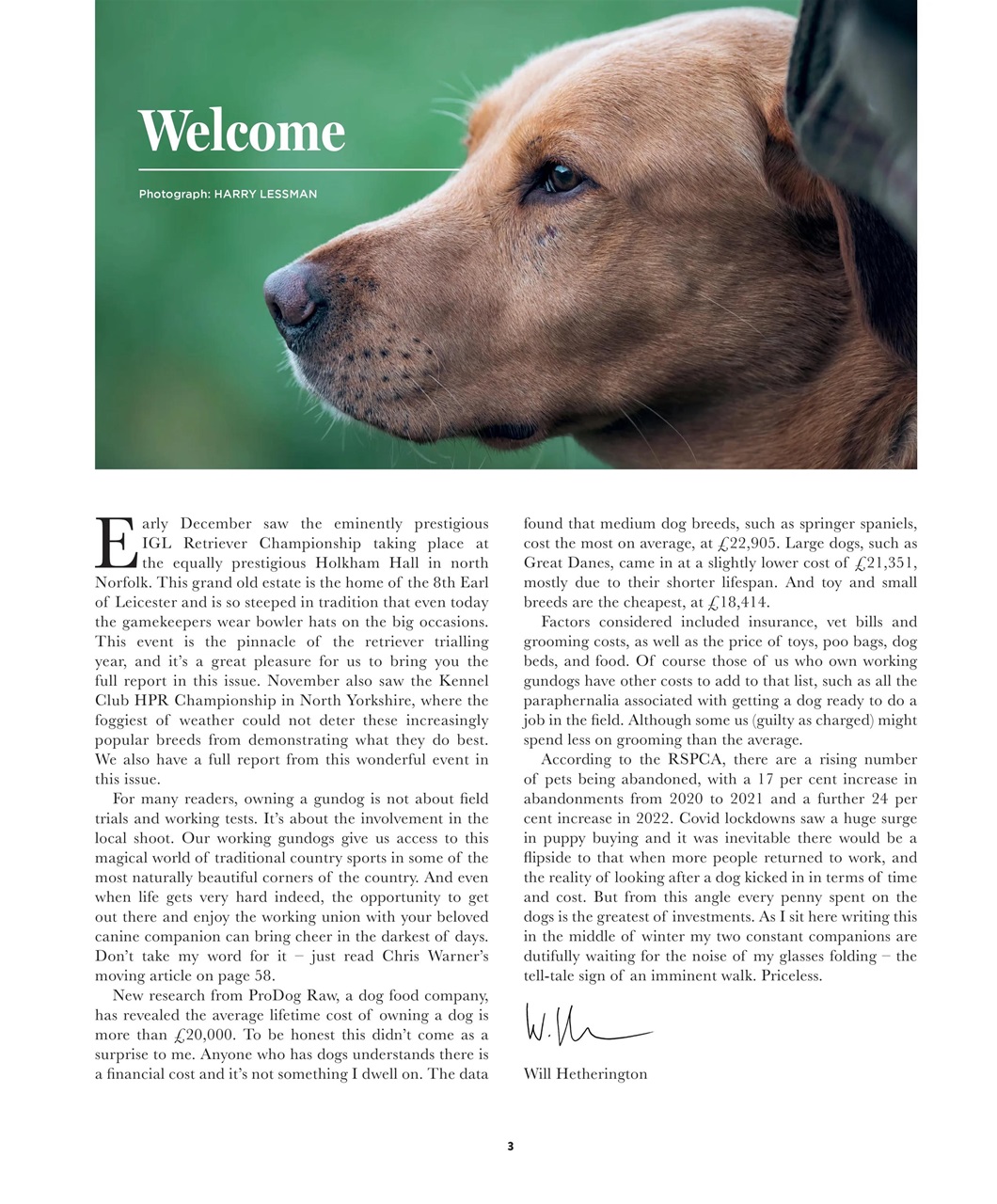 Gundog Journal Preview Pages