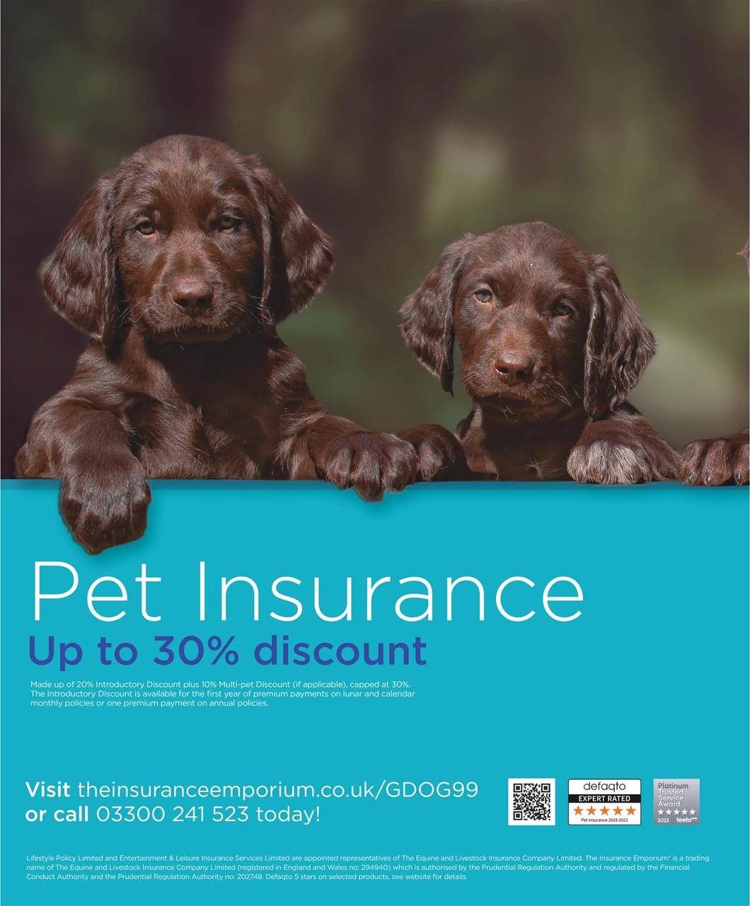 Gundog Journal Preview Pages