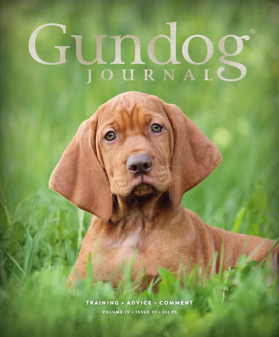 Gundog Journal Preview Pages