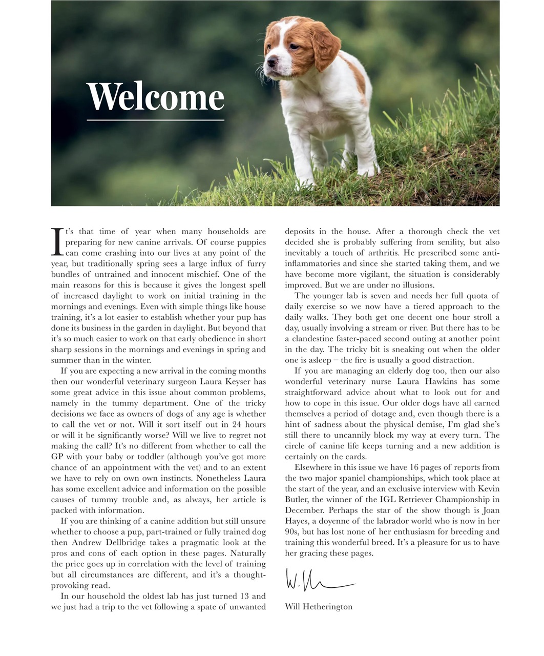 Gundog Journal Preview Pages