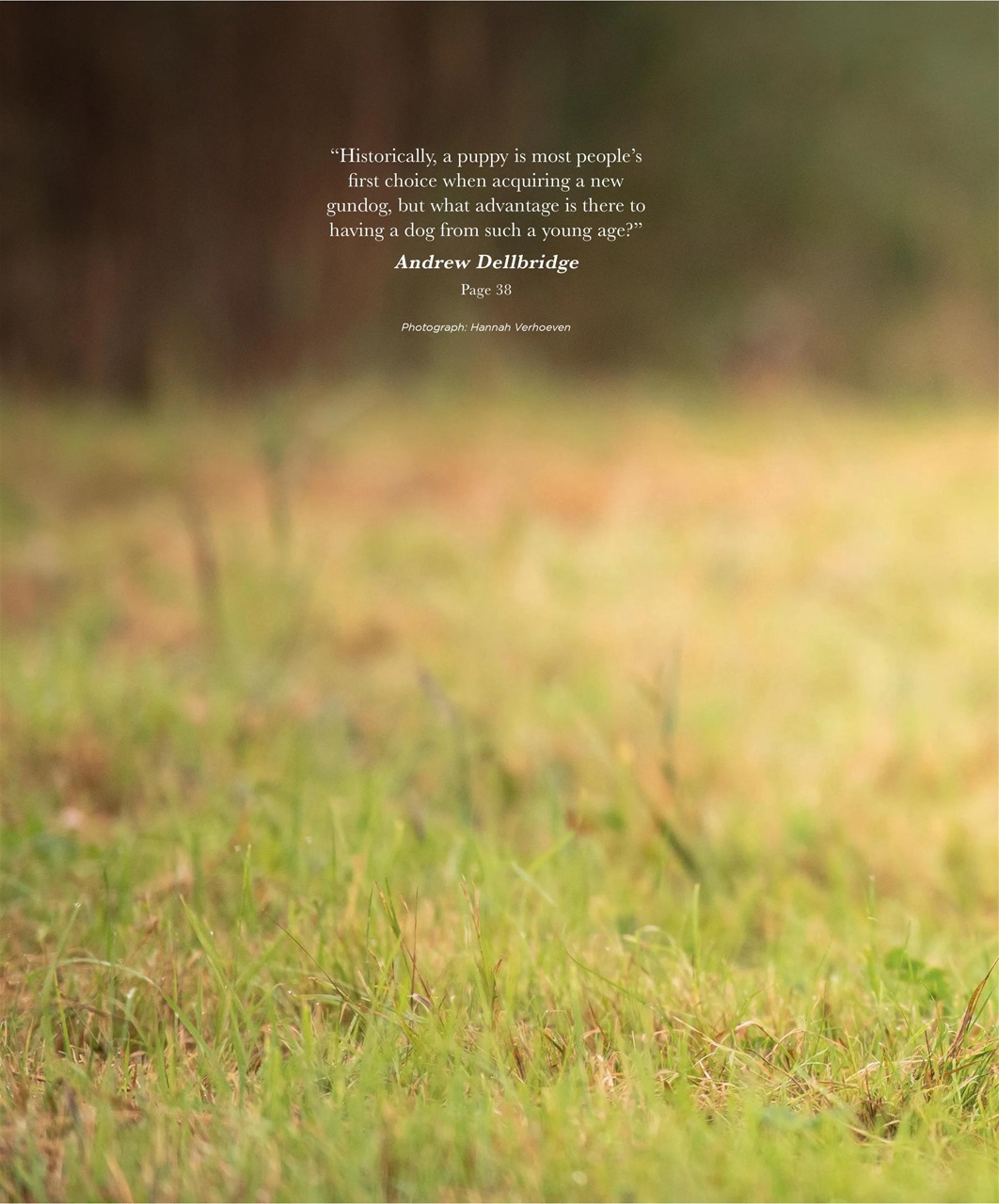 Gundog Journal Preview Pages