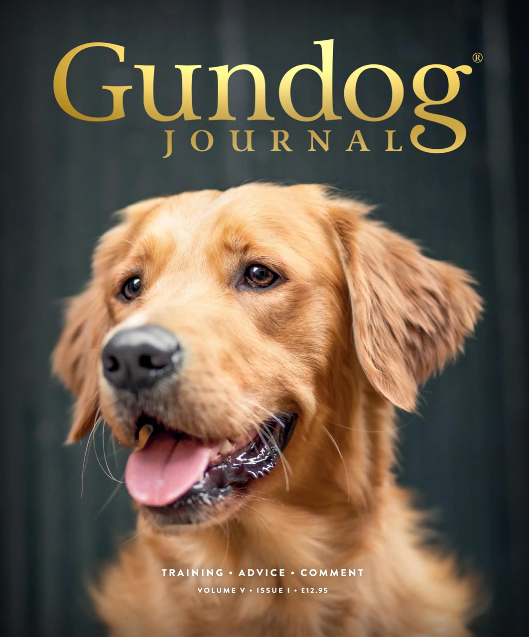 Gundog Journal Preview Pages