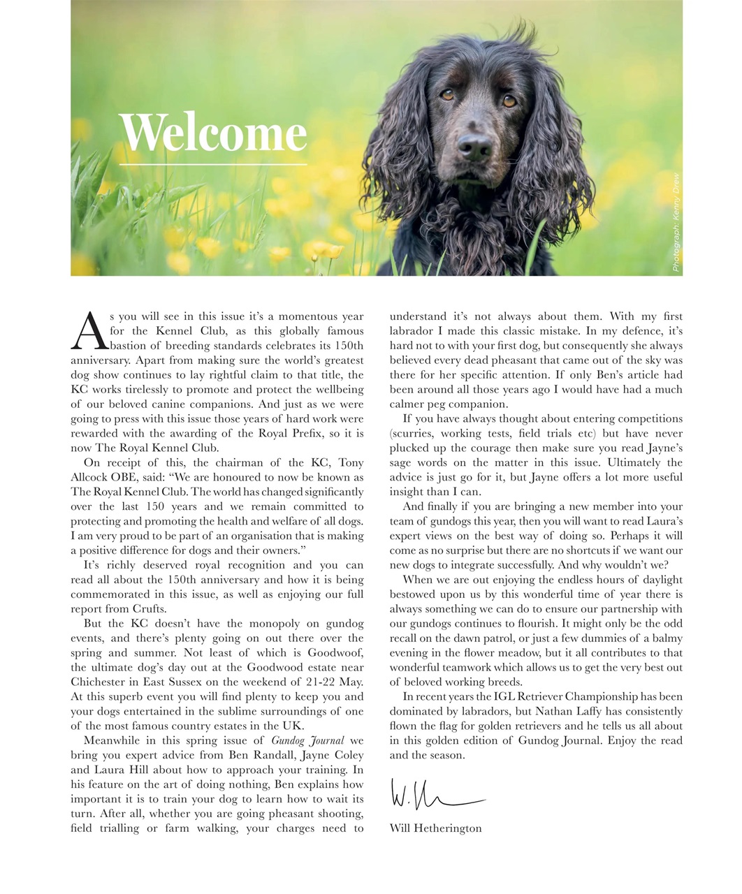 Gundog Journal Preview Pages