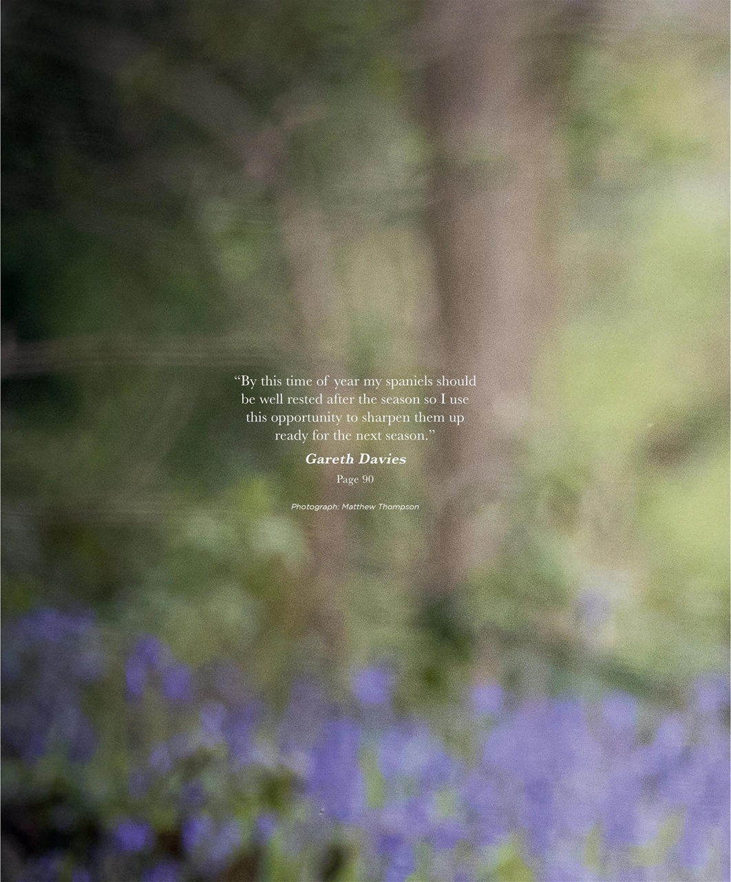 Gundog Journal Preview Pages