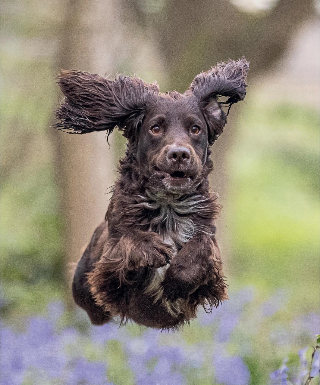 Gundog Journal Preview Pages