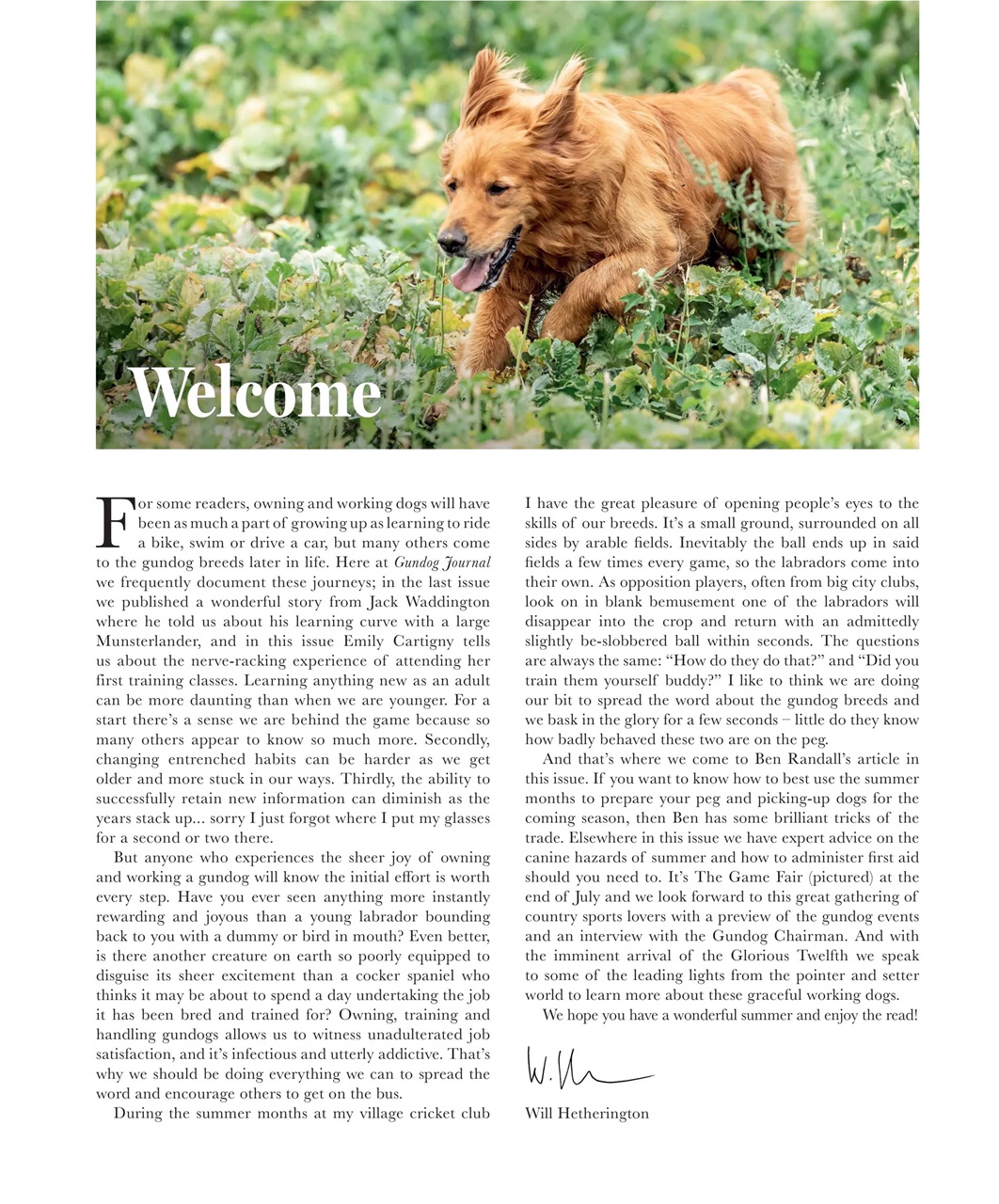 Gundog Journal Preview Pages