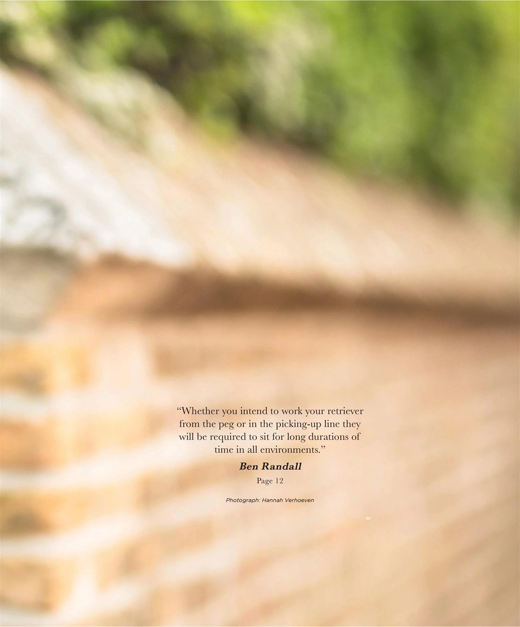 Gundog Journal Preview Pages