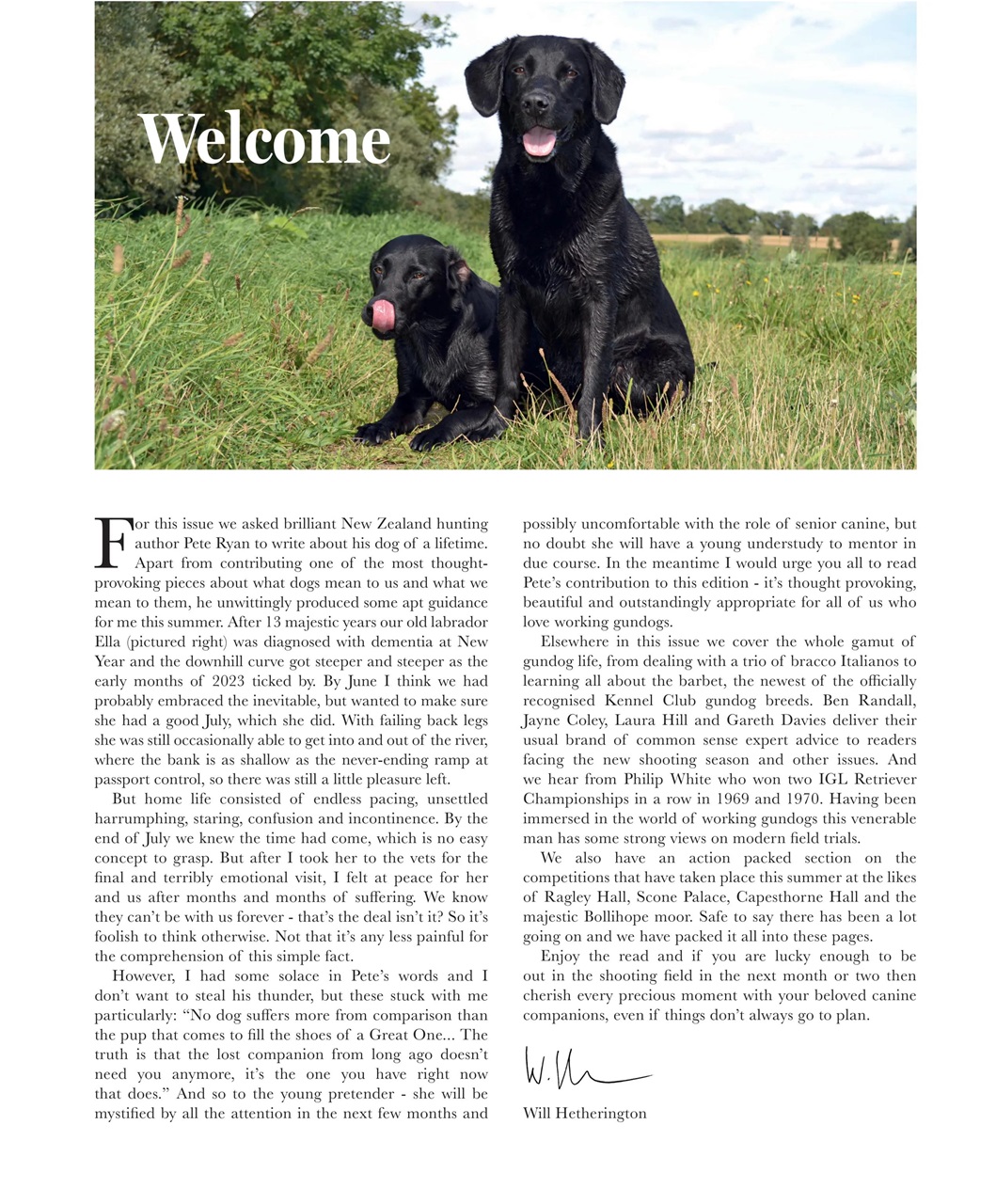 Gundog Journal Preview Pages