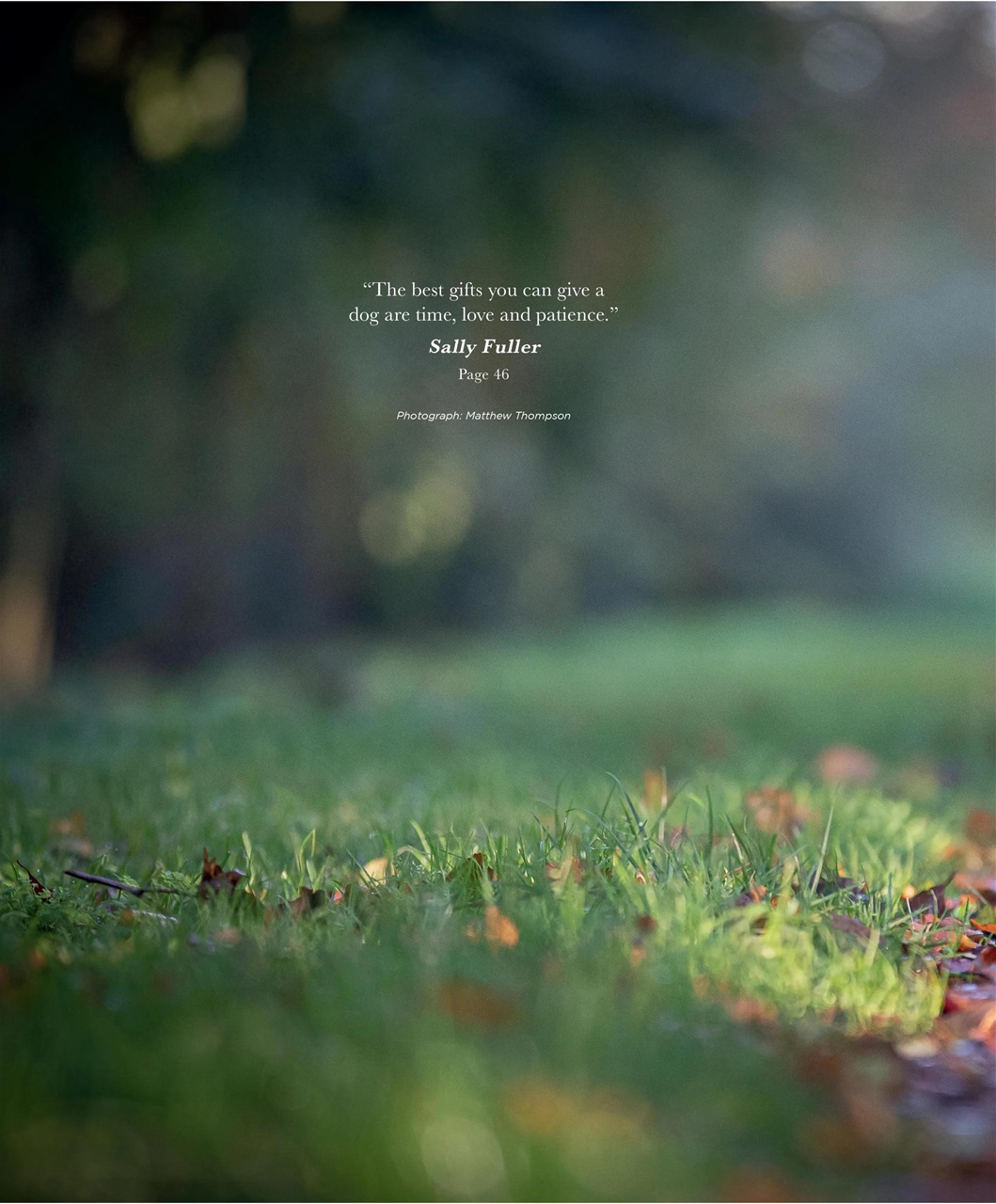 Gundog Journal Preview Pages